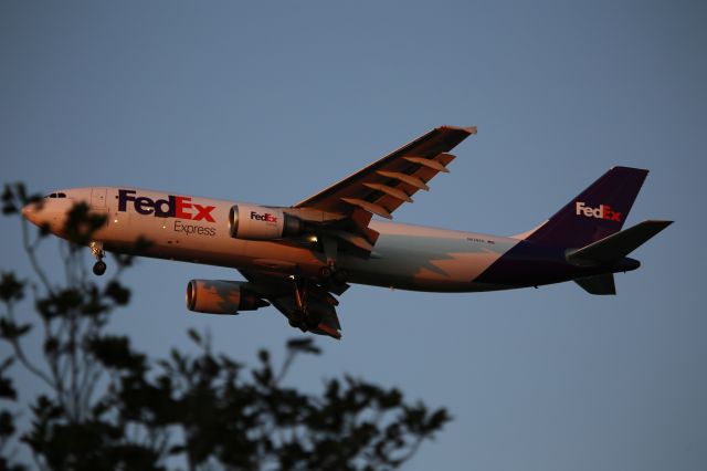 Airbus A300F4-600 (N678FE)