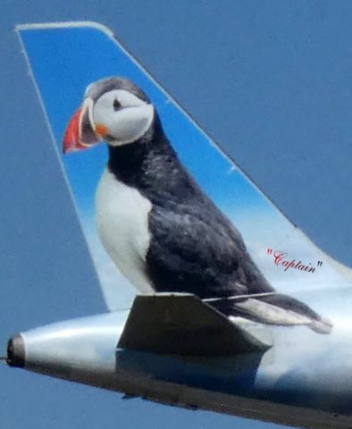 Airbus A320neo (N322FR) - "Captain" the Puffin on this Frontier Aircraft.