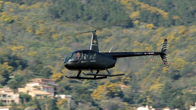 Robinson R-44 (F-HELI)