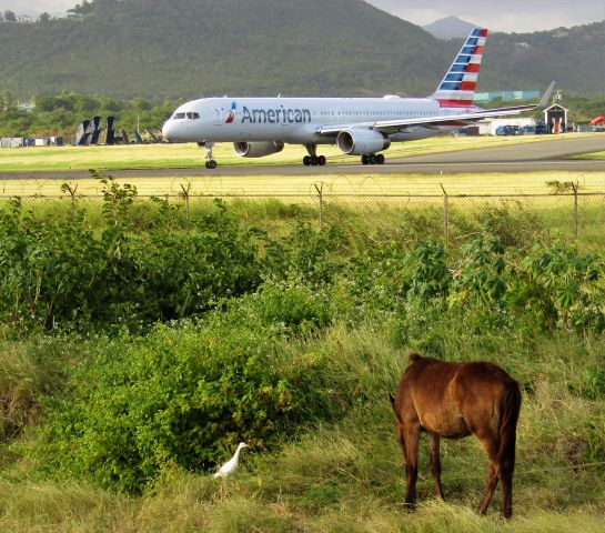 Boeing 757-200 (N183AN)