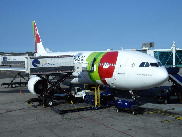 Airbus A330-300 (CS-TOK) - Foto tomada 16/01/2013