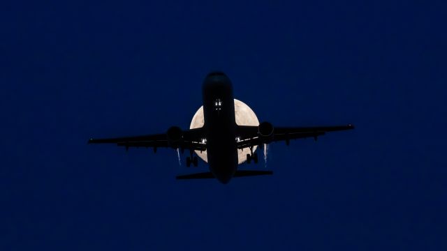 Airbus A321 — - American Airlines A321 landing at PHX on 3/16/2022 with the evening moon in the background. Taken with a Canon 850D and Sigma 150-600 Contemporary lens.