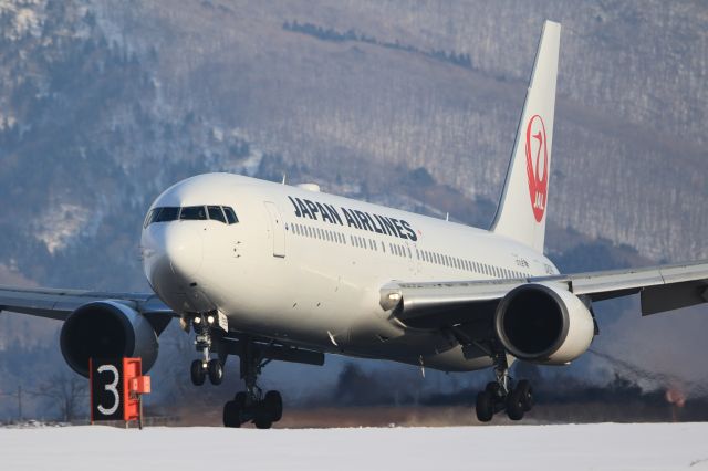 BOEING 767-300 (JA8986) - January 5th 2019:HND-HKD.