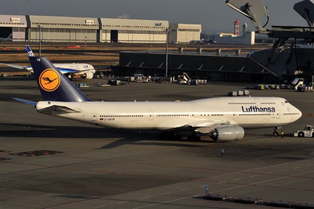 BOEING 747-8 (D-ABYM) - Pull back at sunset