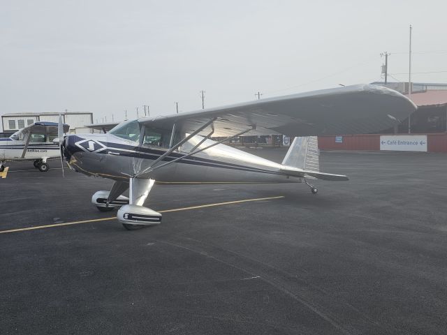 N71226 — - This just landed here at Hicks Airfield in Ft.Worth, Texas. Beautiful all polished Luscomb.