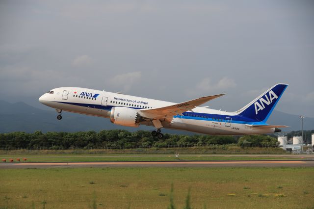 Boeing 787-8 (JA831A) - July 06, 2024:HKD-HND.