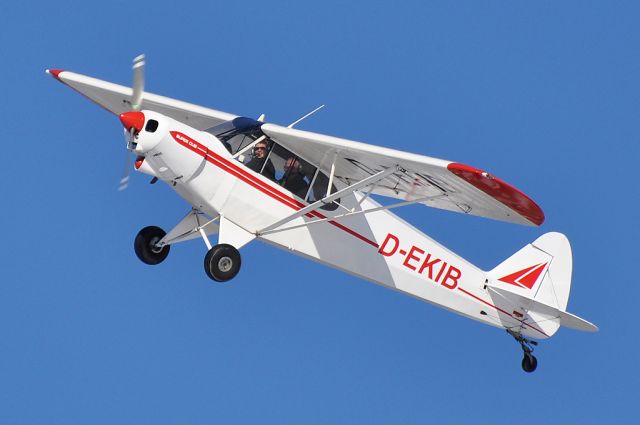 Piper L-21 Super Cub (D-EKIB)