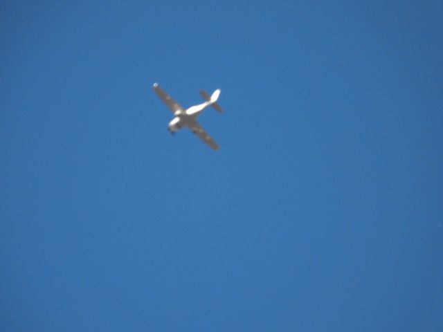 Cirrus SR-22 (N8139V)