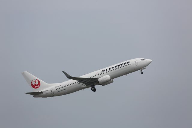 Boeing 737-800 (JA306J)