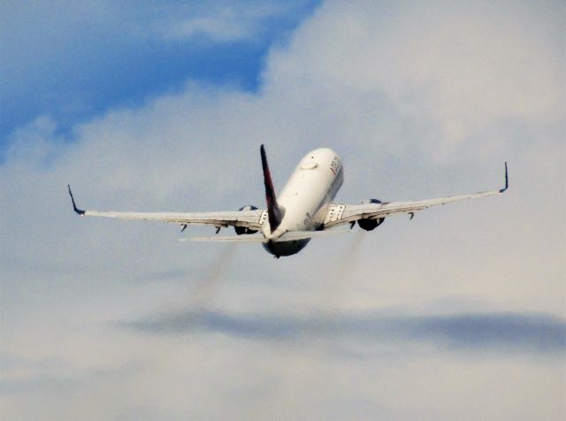 Boeing 737-800 (N373DA)