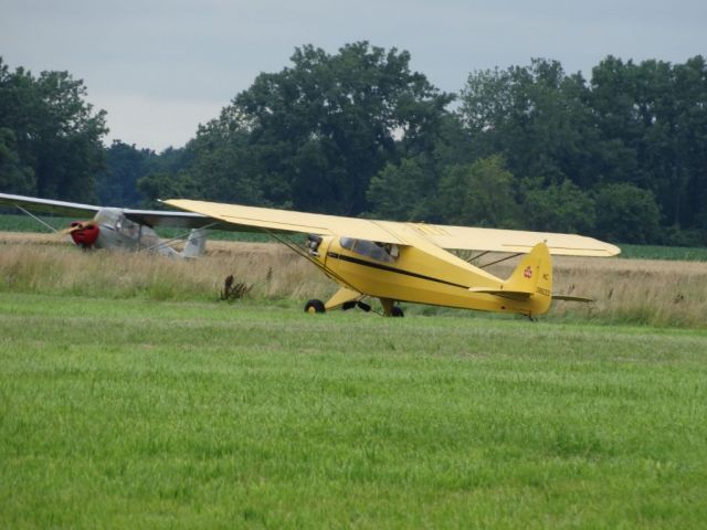 Piper L-14 Cub Cruiser (N38633)