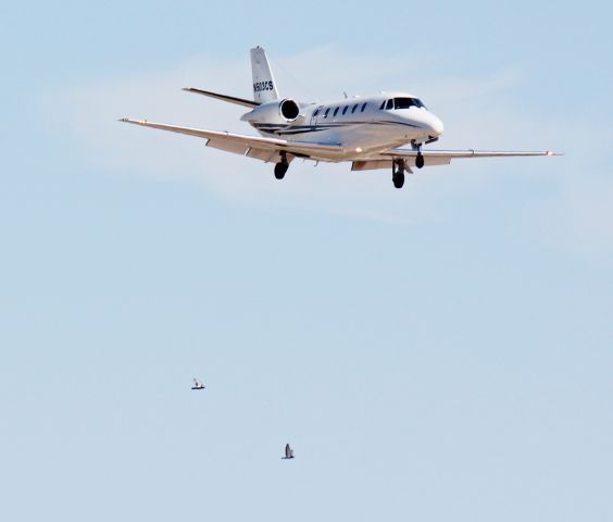 Cessna Citation V (N503CS)