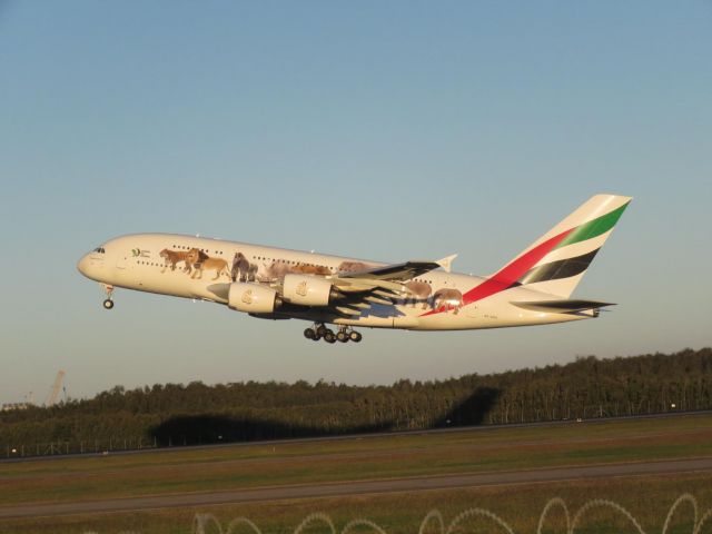 Airbus A380-800 (A6-EEQ)