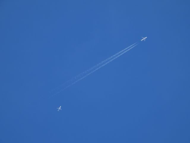 Airbus A321 (N902AA)