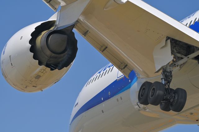 Boeing 787-8 (JA831A) - 01.Apr.2023br /Final landing approach to RWY34L !! Taken at the Senri River embankment !!