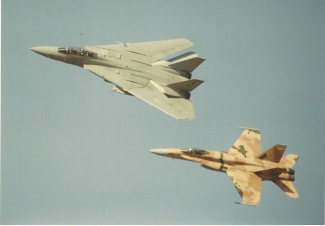 Grumman F-14 Tomcat — - 1999 Wings Over Stockton Airshow