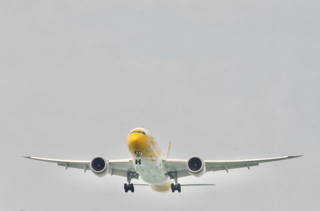 Boeing 787-9 Dreamliner —