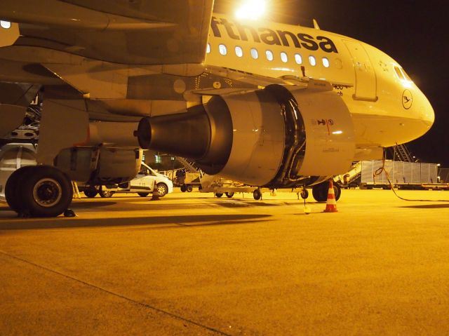 Airbus A319 (D-AILX)