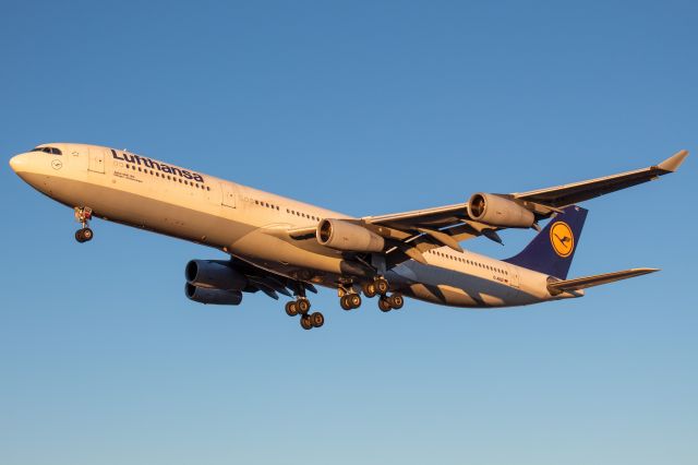 Airbus A340-300 (D-AIGZ) - Lufthansa Airbus 340-313X arriving from Frankfurt, Germany landing on runway 29 at Newark on 11/20/22.