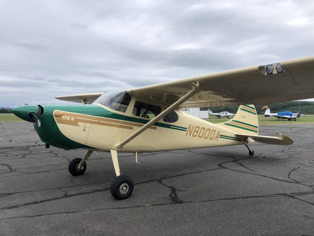 Cessna 170 (N8000A)
