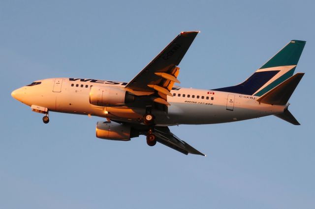 BOEING 737-600 (C-GXWJ)