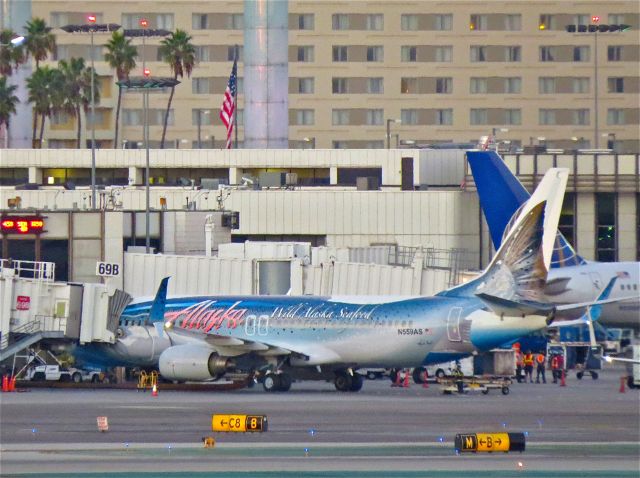 Boeing 737-800 (N559AS) - Salmon Thirty Salmon 2 Noted 11/4/14