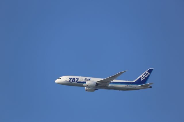 Boeing 787-8 (JA804A)