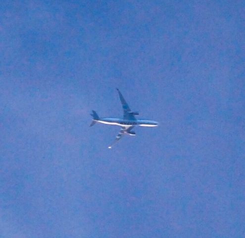 Airbus A350-900 (A7-ALP) - Flying over Simpsonville SC.