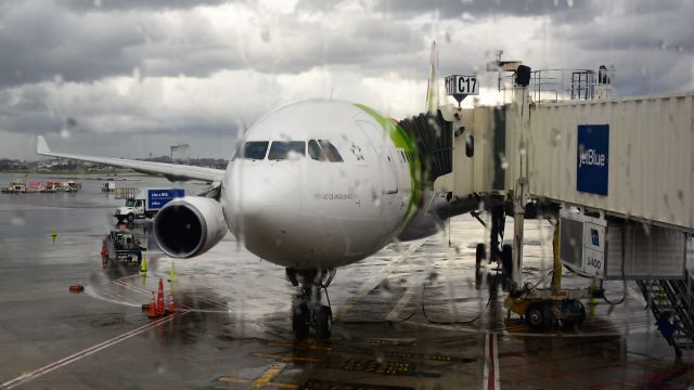 Airbus A330-200 (CS-TOO) - 4/15/19