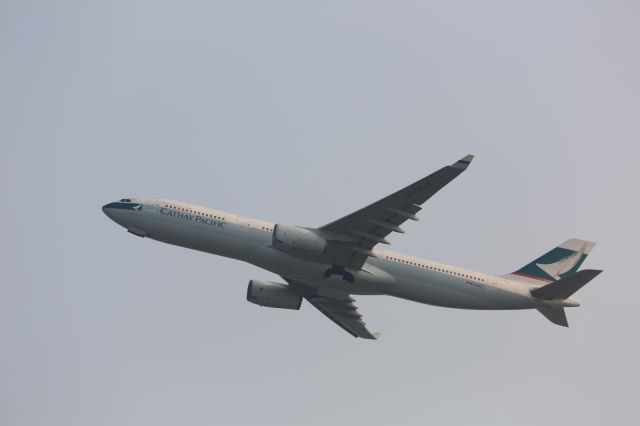 Airbus A330-300 (B-HLK)