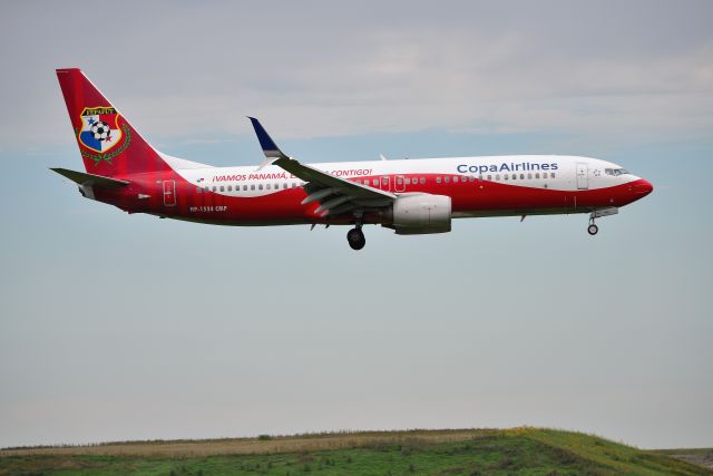 Boeing 737-800 (HP-1534CMP) - Landing 10-C