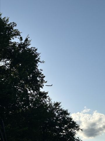 Boeing 737-800 (N823NN) - Go around Flightradar24 for information 