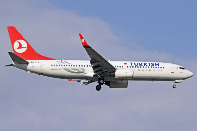Boeing 737-800 (TC-JFE)