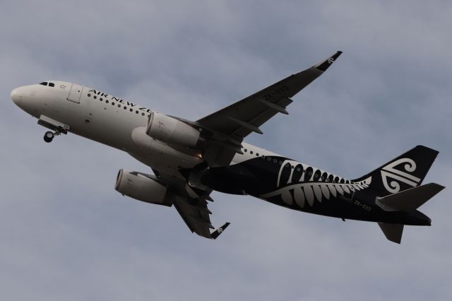 Airbus A320 (ZK-OXD)