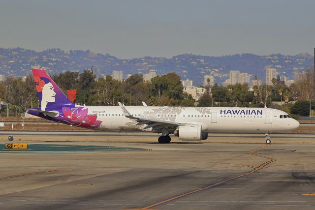 Airbus A321 (N213HA) - 11-23-19