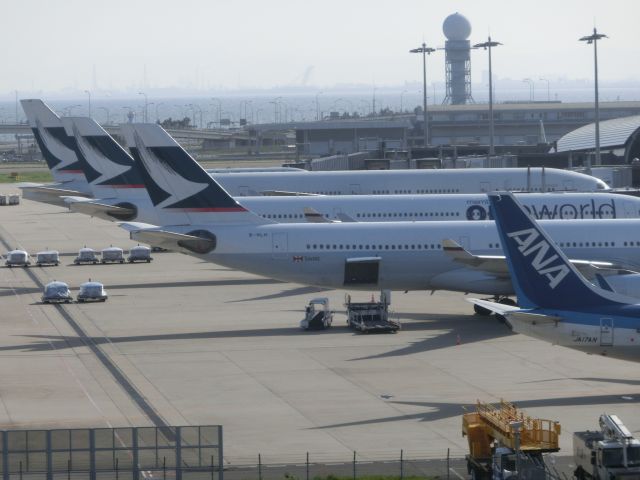 Airbus A330-300 (B-HLH) - キャセイの並びシリーズ。