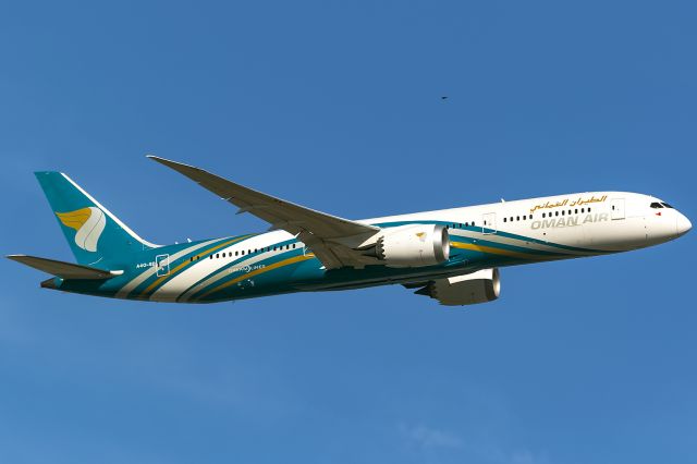 Boeing 787-9 Dreamliner (A4O-SD) - two birds