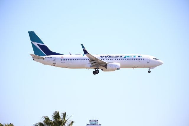 Boeing 737-800 (C-FDMB)