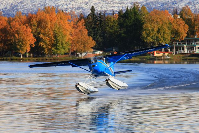 Cessna Skywagon (N20786)