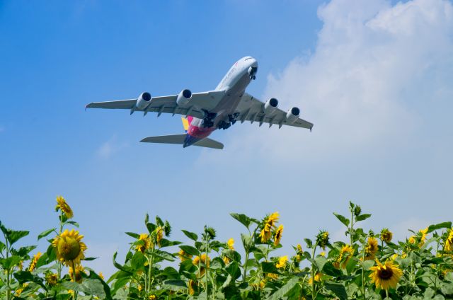 Airbus A380-800 (HL7625)