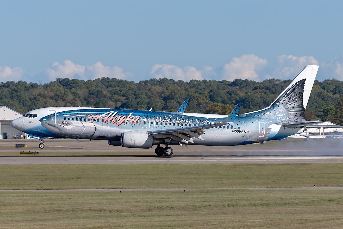 Boeing 737-800 (N559AS) - Salmon-Thirty-Salmon arriving in Nashville