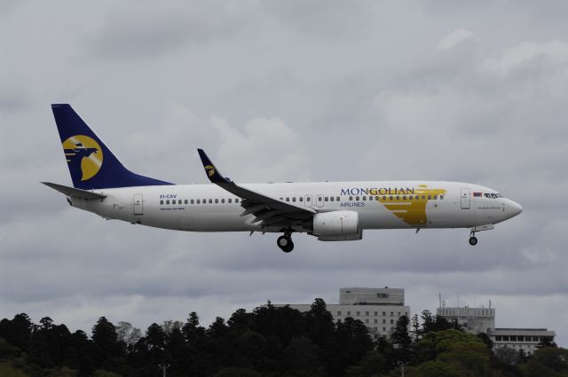 Boeing 737-800 (EI-CXV) - Final Approach to NRT Airport R/W16R on 2012/04/30