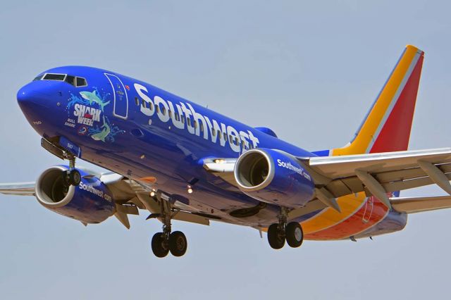 Boeing 737-700 (N553WN) - Southwest Boeing 737-7H4 N553WN Shark Week Bull Shark at Phoenix Sky Harbor on July 30, 2018.