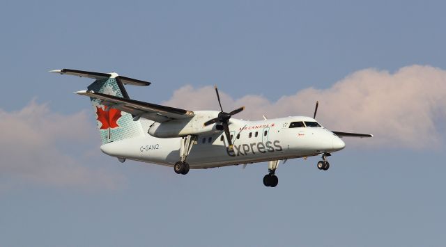 de Havilland Dash 8-100 (C-GANQ)