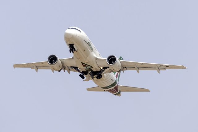 Airbus A319 (EI-IMI)