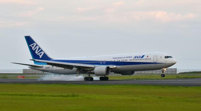 BOEING 767-300 (JA606A)