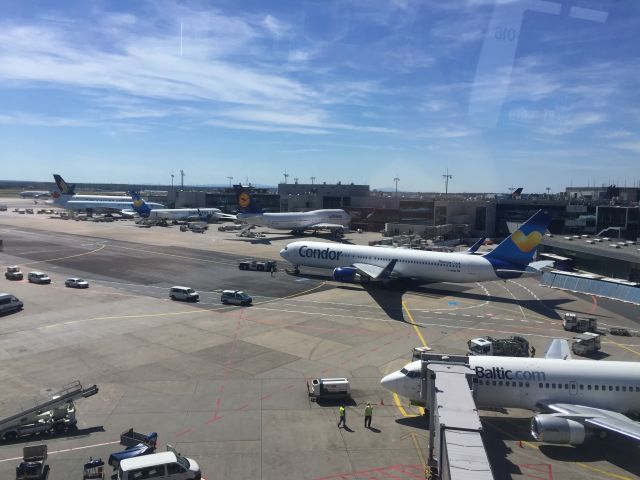 BOEING 767-300 (D-ABUK) - Condor Boeing 767-300ER pushing back from Frankfurt, Terminal 1 (Area B), for its 10 hour flight to Portland (PDX). br /br /Taken from the Frankfurt Skyline. br /June 11, 2017