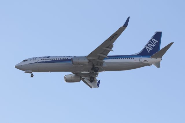 Boeing 737-800 (JA82AN) - 14 December 2015:ITM-HKD.