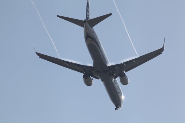 Boeing 737-900 (N323AS) - ON FINAL