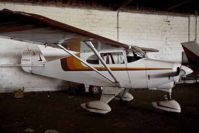 Piper PA-22 Tri-Pacer (N2144A) - A rare bird.